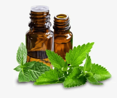 Peppermint Oil Piperita