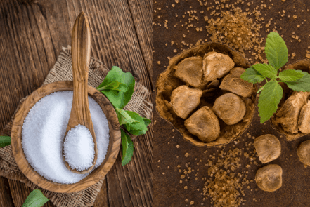 Food Technology & Natural Sweeteners